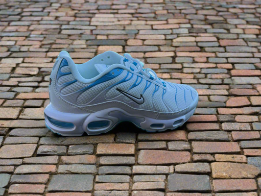 Nike tn plus blue