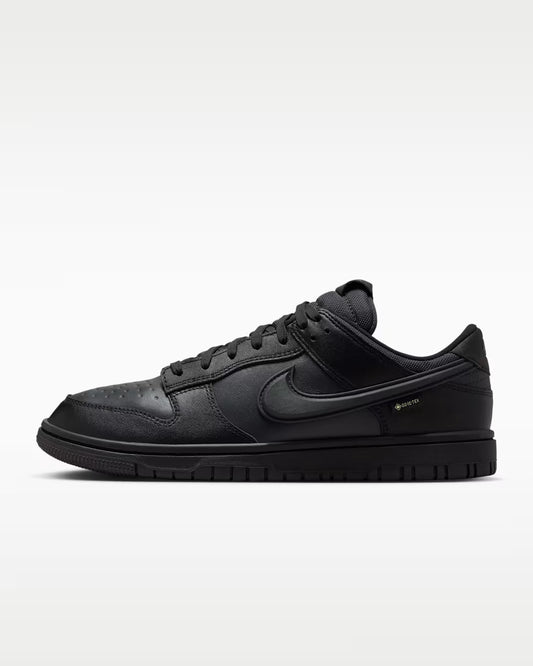Nike Dunk Low GORE-TEX